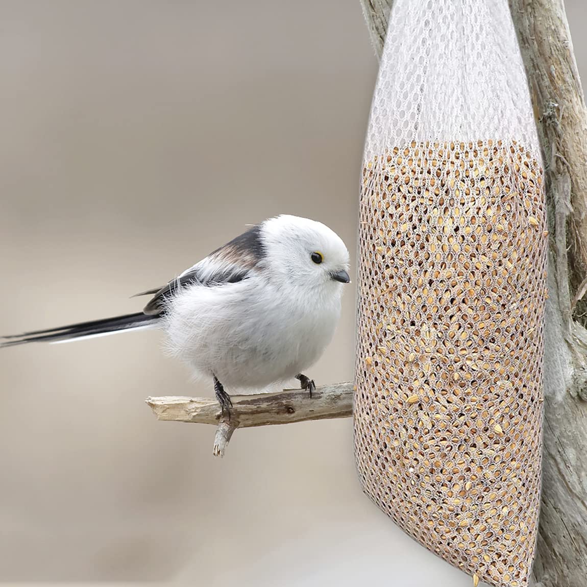 6 Mangiatoie Per Uccelli A Calzino | Rete Per Semi Di Cardo Per Fringuelli | Wild Bird Feeder Sock - Foto 3