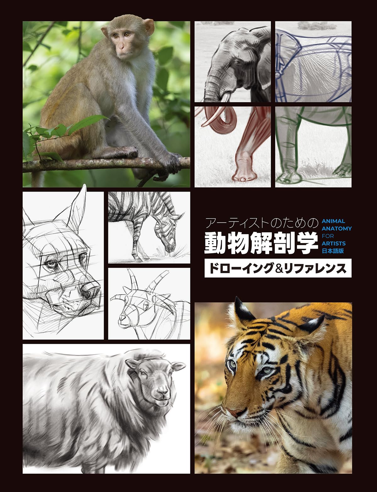 アンティーク ラインベルガー書『動物図解書の額』 中に燃え跡のある