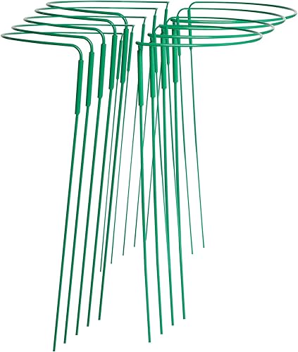 pank-grupp Paquete de 8 estacas de soporte para plantas de jardín, jaulas de soporte de peonía de metal, jaula de anillo de soporte para plantas