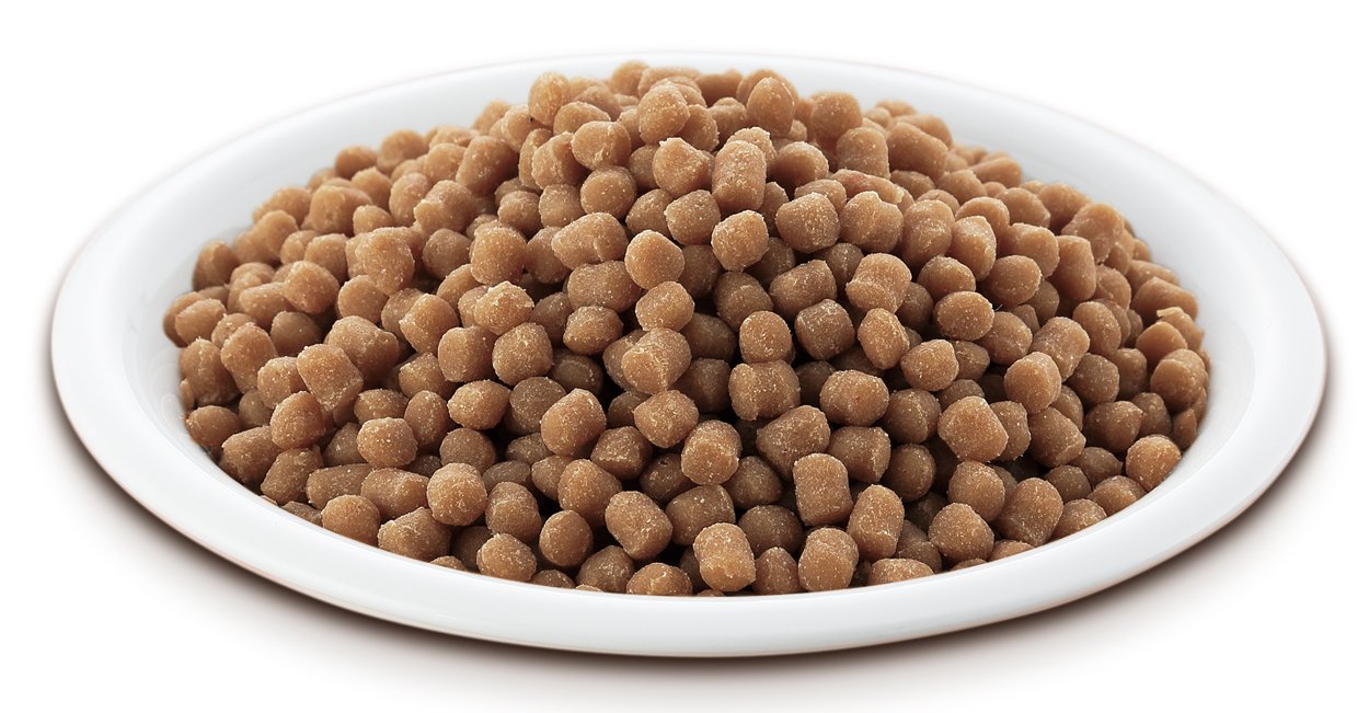 Amazon.co.jp: ペティオ (Petio) リモナイトラボ トイ・プードル用 1kg