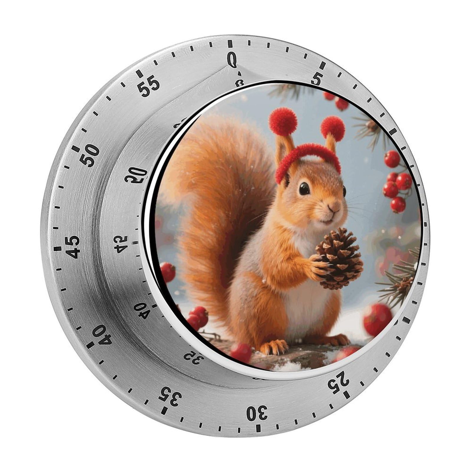 Squirrel Timer Digital Stainless Steel Kitchen Timers with Loud Alarm Visual Timers Magnetic Countdown Countup Timer for Homework Chores Office Time Management