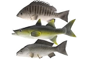 3 Pack Fake Fish Pretend Artificial Black Carp Sculptures for Home, Garden,...