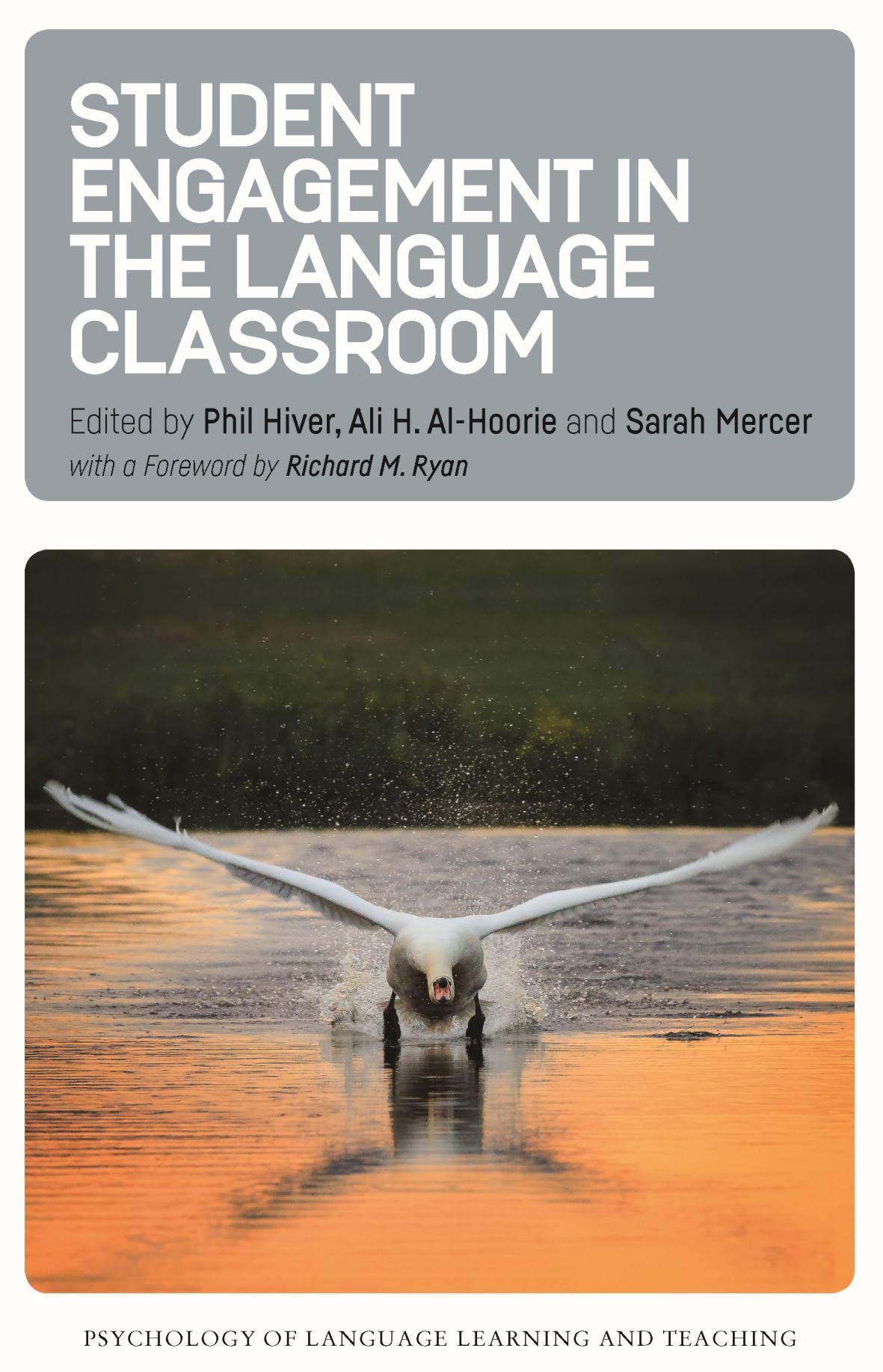 Student Engagement in the Language Classroom (Psychology of Language Learning and Teaching Book 11)
