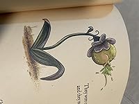 Review Image by R S Cobblestone