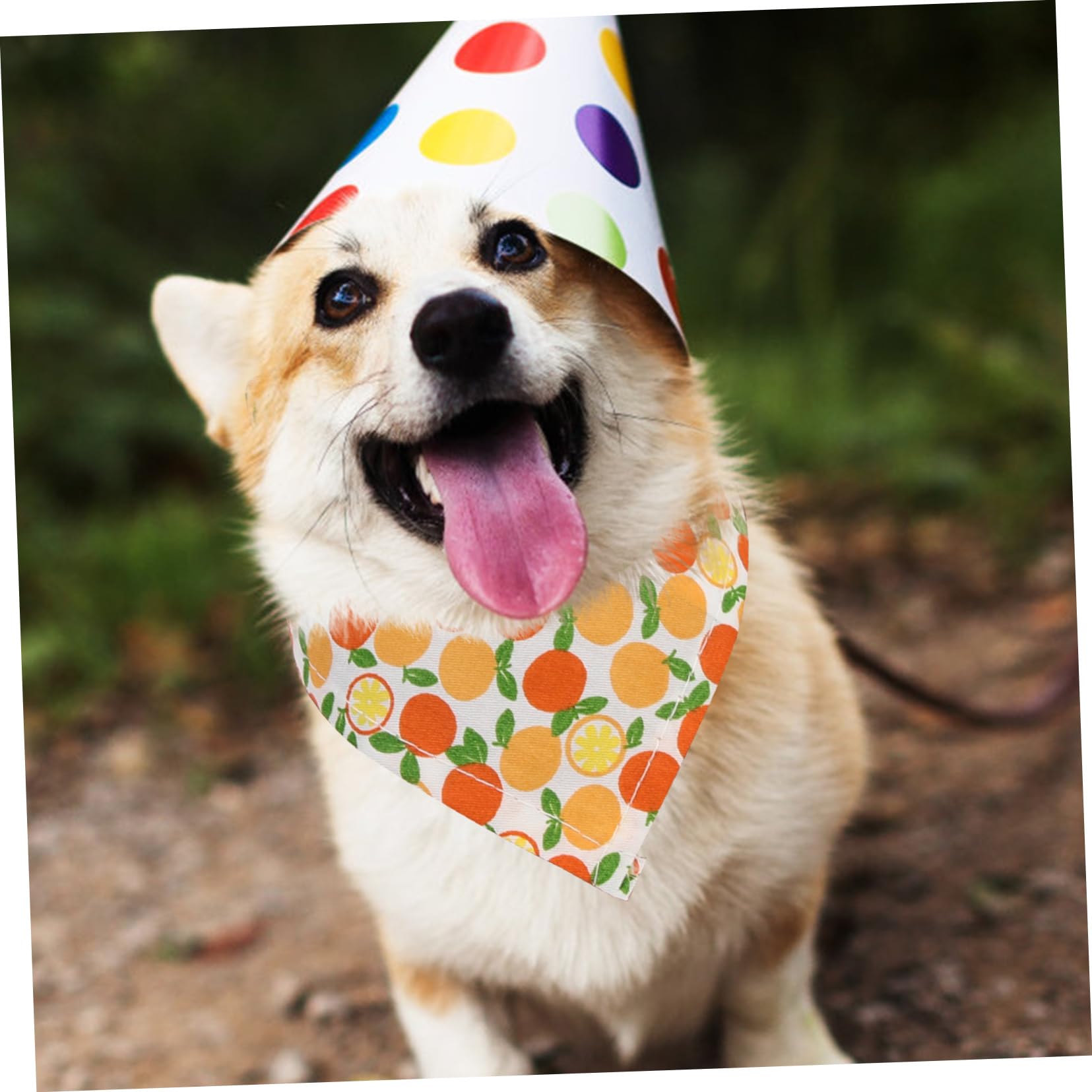 FOMIYES 12piezas Bufandas para Mascotas Coloridas Bandanas para Perros y Gatos Accesorios Resistentes y para Fiestas y Fotografías