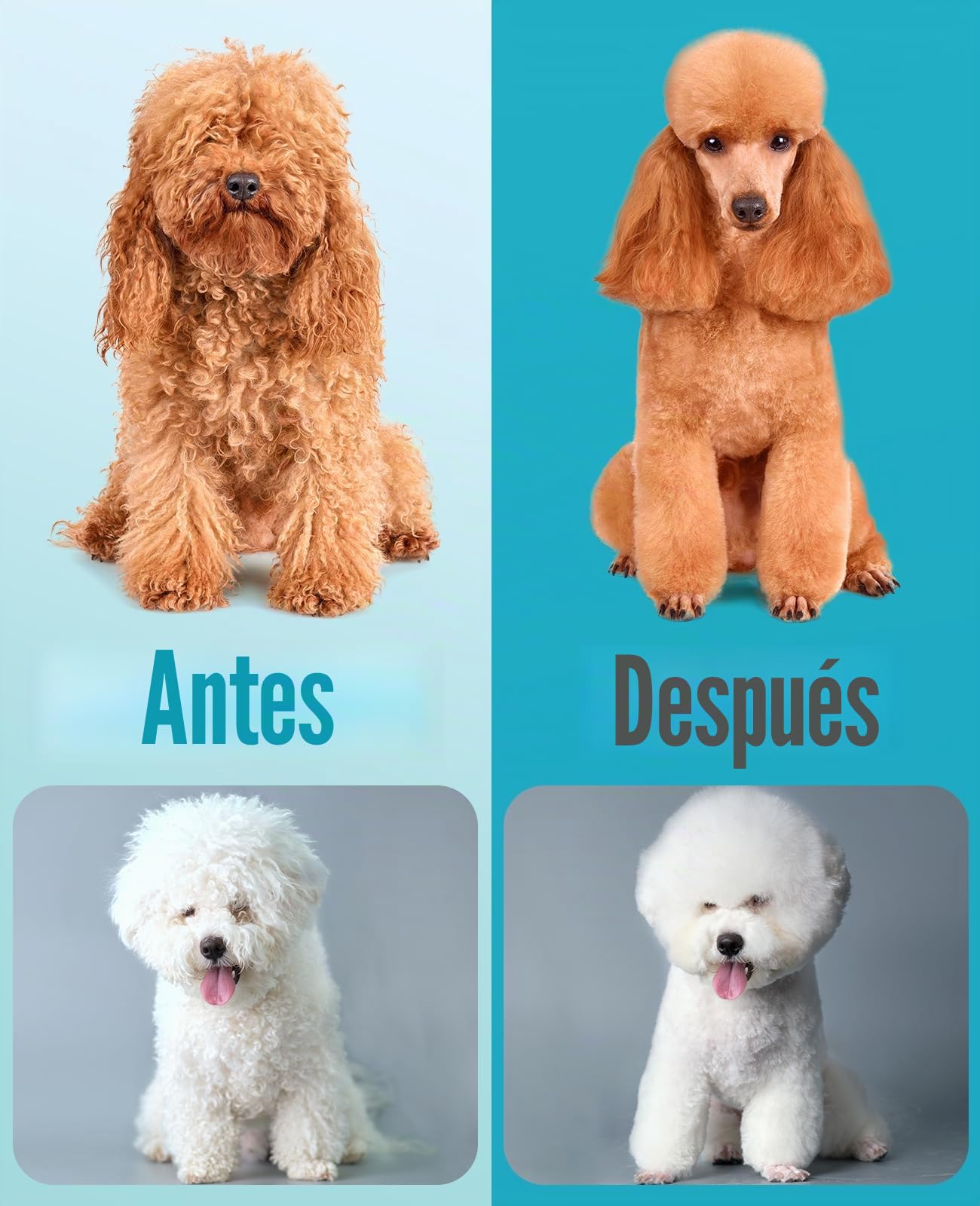 oneisall Cortapelos profesionales para pelo grueso, cortaúñas para perros para cacapú, cortadora de aseo de perros resistente con hoja de metal desmontable, cortadora inalámbrica para mascotas