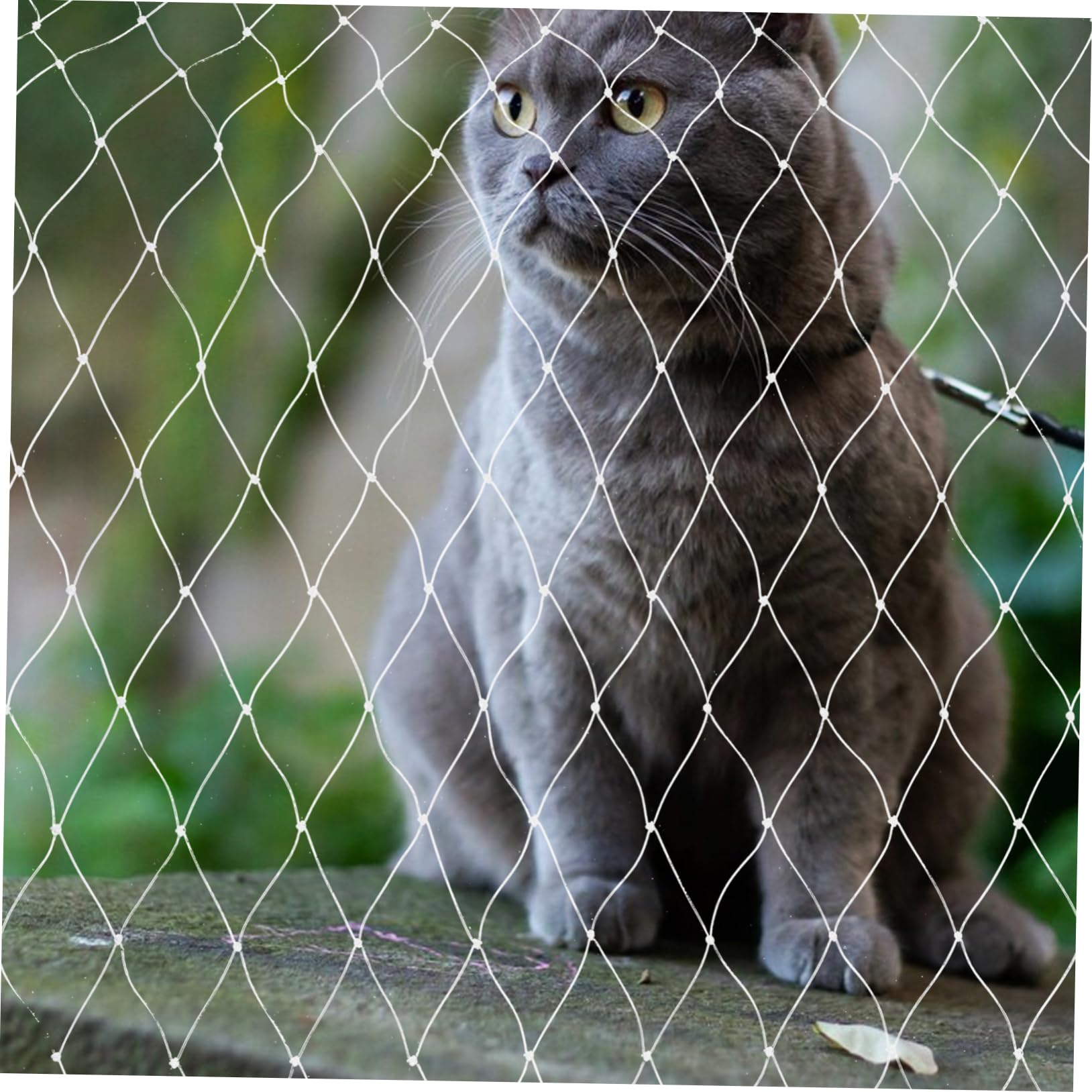 Milisten Netz Balkon Katze ohne Bohren aus Nylon Verschleißfestes Sicherheitsnetz für Katzenbalkon und Fenster Installieren ohne Bohren Schützt Haustiere Zuverlässig