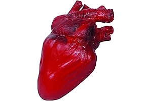 Bloody Realistic Heart Halloween Decoration