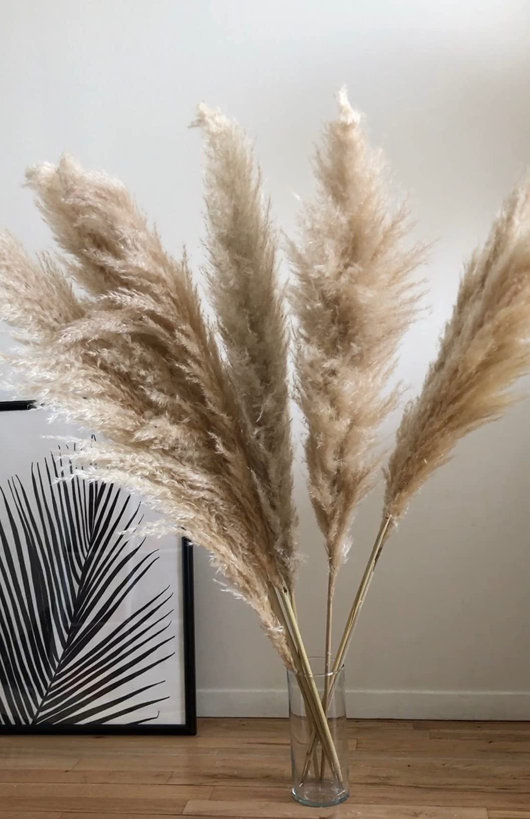 Amazon｜LovPampas 5本の茎 パンパスグラス - 4フィート (48