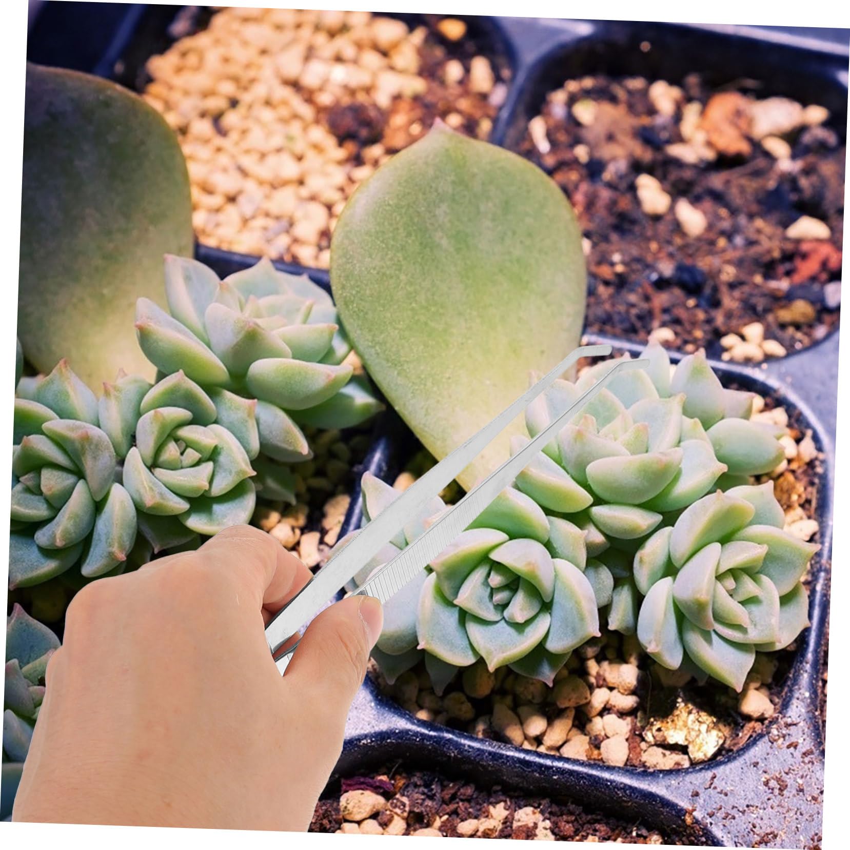 HEMOTON Gardening Tool Set 4pcs Silver Tweezers Seedling Tweezers Small Tool for Succulent Craft