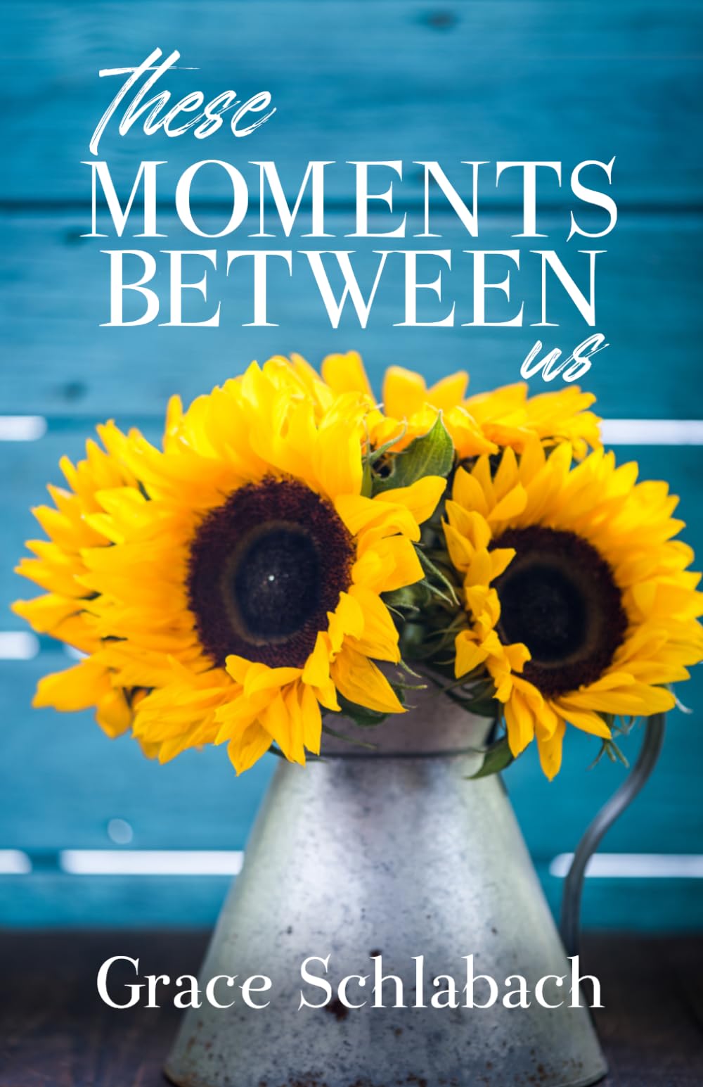 These Moments Between Us: A Contemporary Small-Town Christian Novel: 1 (Moments In Maplecreek)