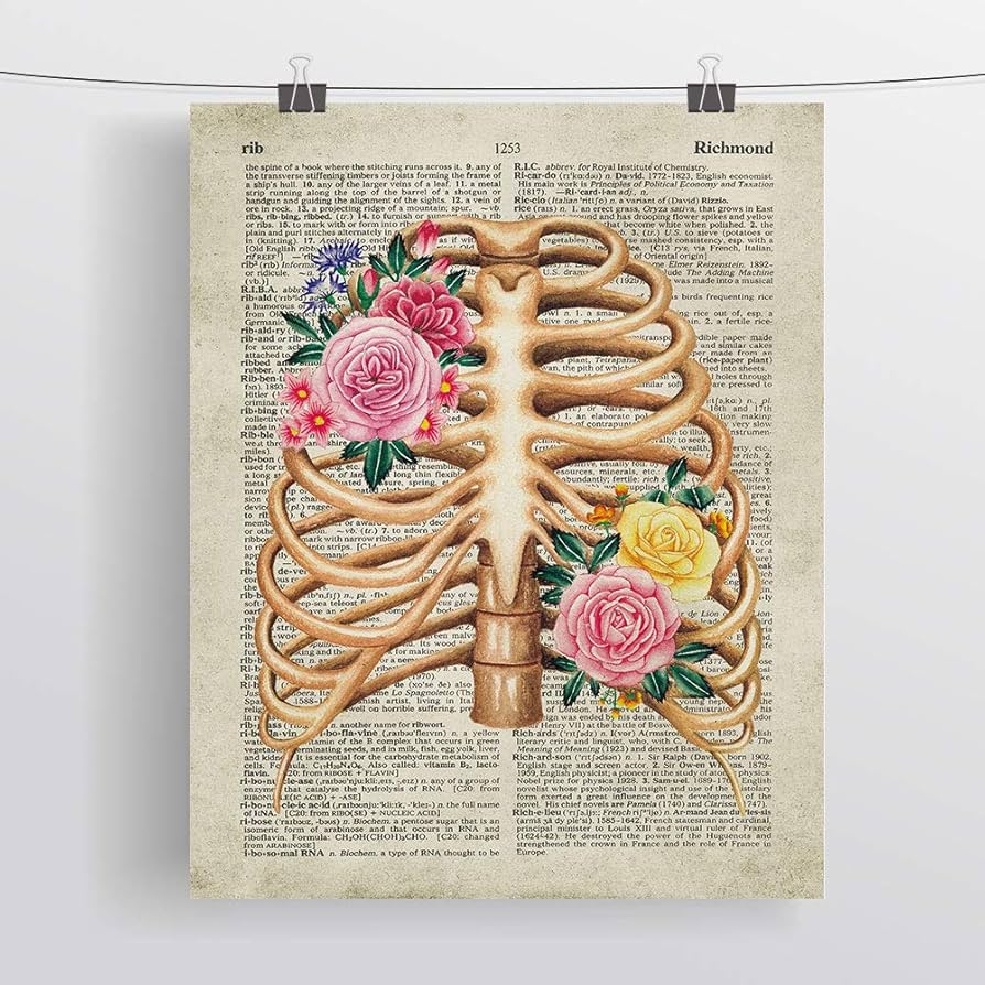 Amazon.co.jp: SUMGAR ヴィンテージウォールアート 解剖学