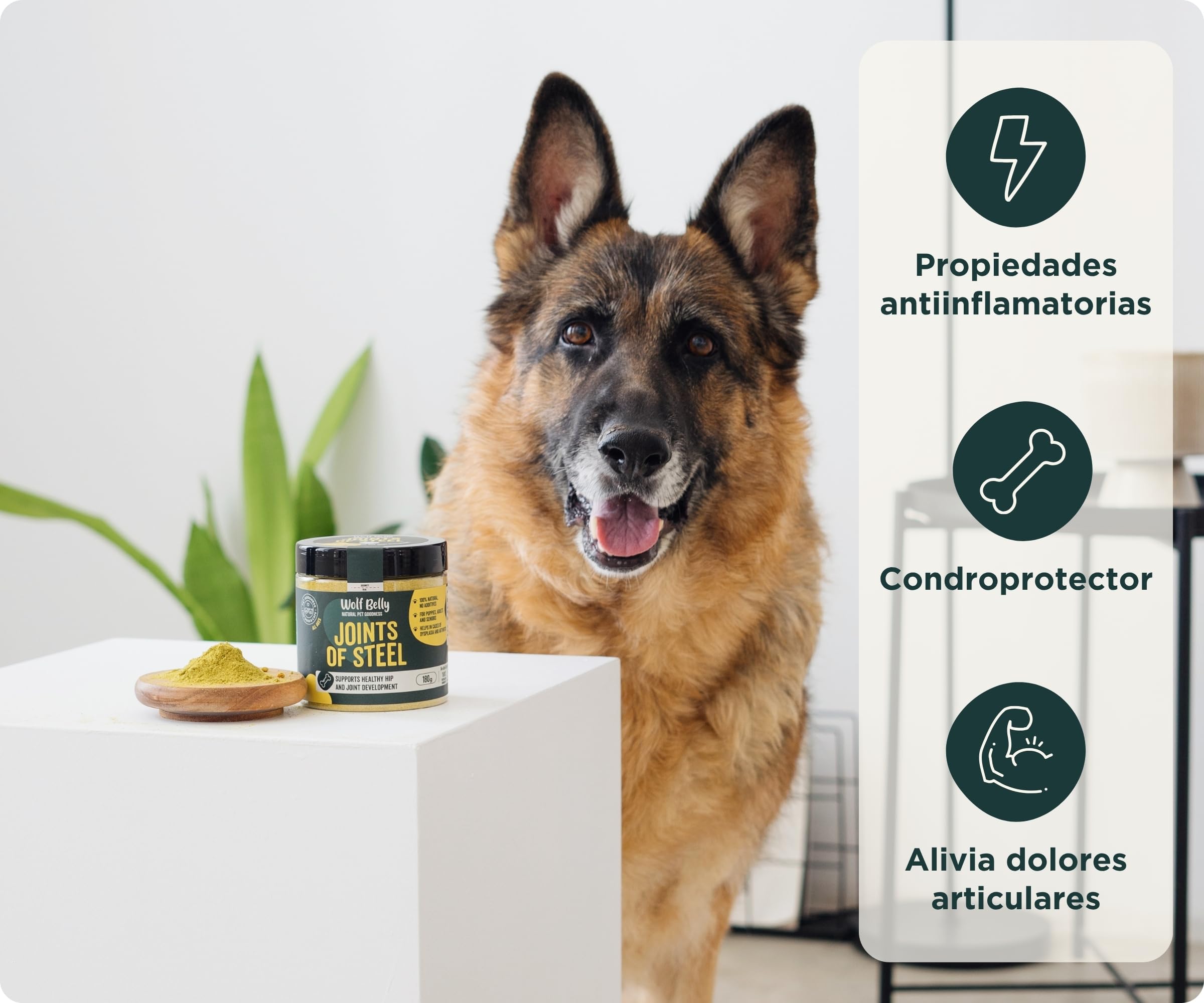 Wolf Belly - Pack Condroprotector para Perros | Suplemento Articular en Polvo + Galletas con Ácido Hialurónico | Articulaciones Fuertes | Antiinflamatorio - Hecho en Europa