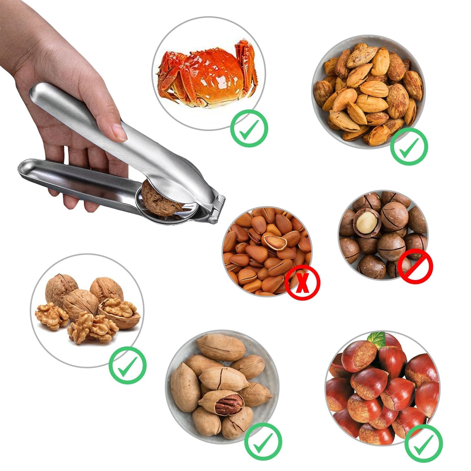 Pince à Châtaignes Inox 304 Multifonction - Coupe Marrons En Croix, Ouvre Noisettes, Noix, Amandes - Ustensile Cuisine Automne Avec Protège-Doigts