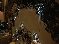 Review Image by StevieSee StevieSee