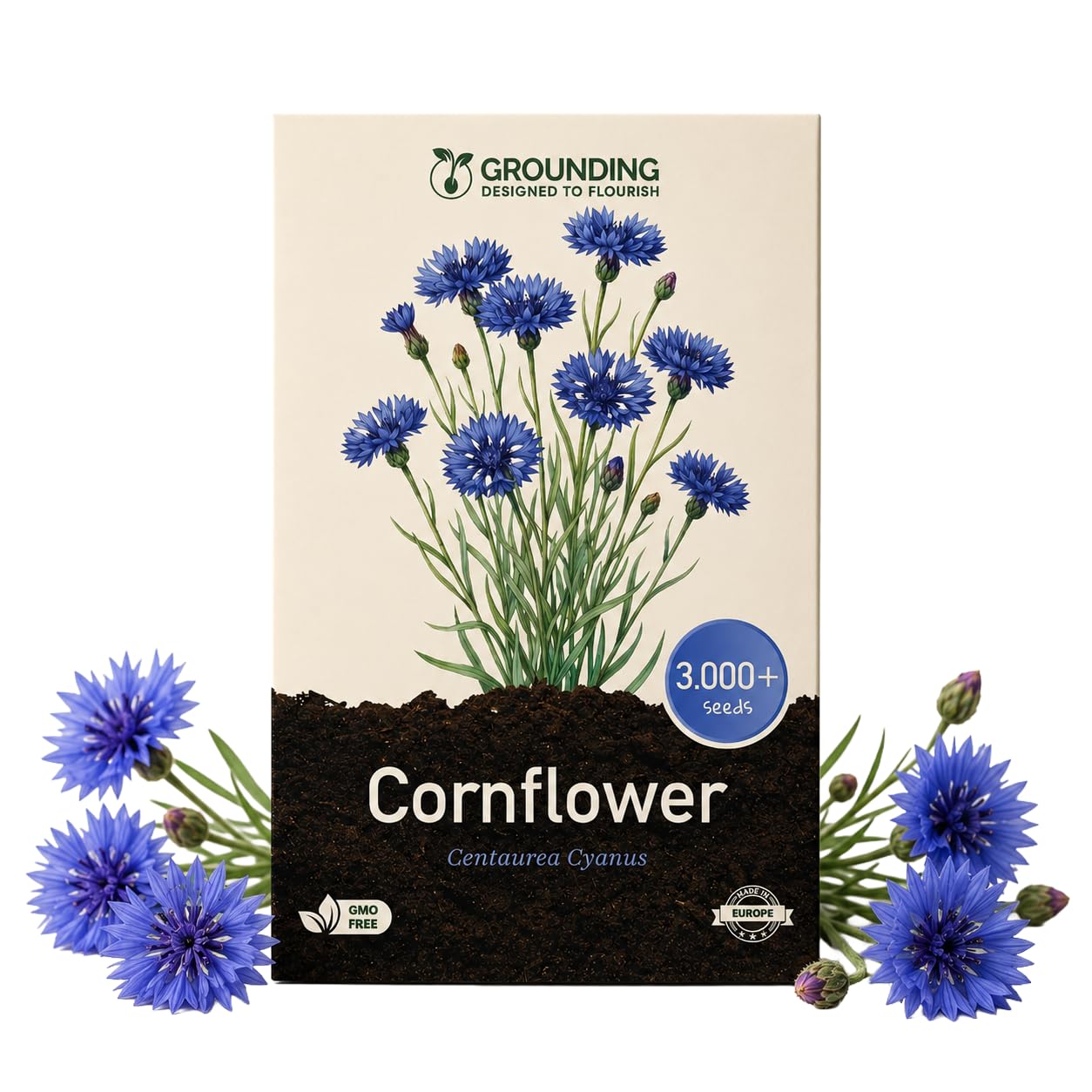 Grounding - Nasiona chabra bławatka pełnego niebieskiego (Centaurea cyanus), 3000+ nasion - Pełne, intensywnie niebieskie kwiaty na rabaty i łąki kwietne, doskonałe na kwiat cięty - Jakość europejska