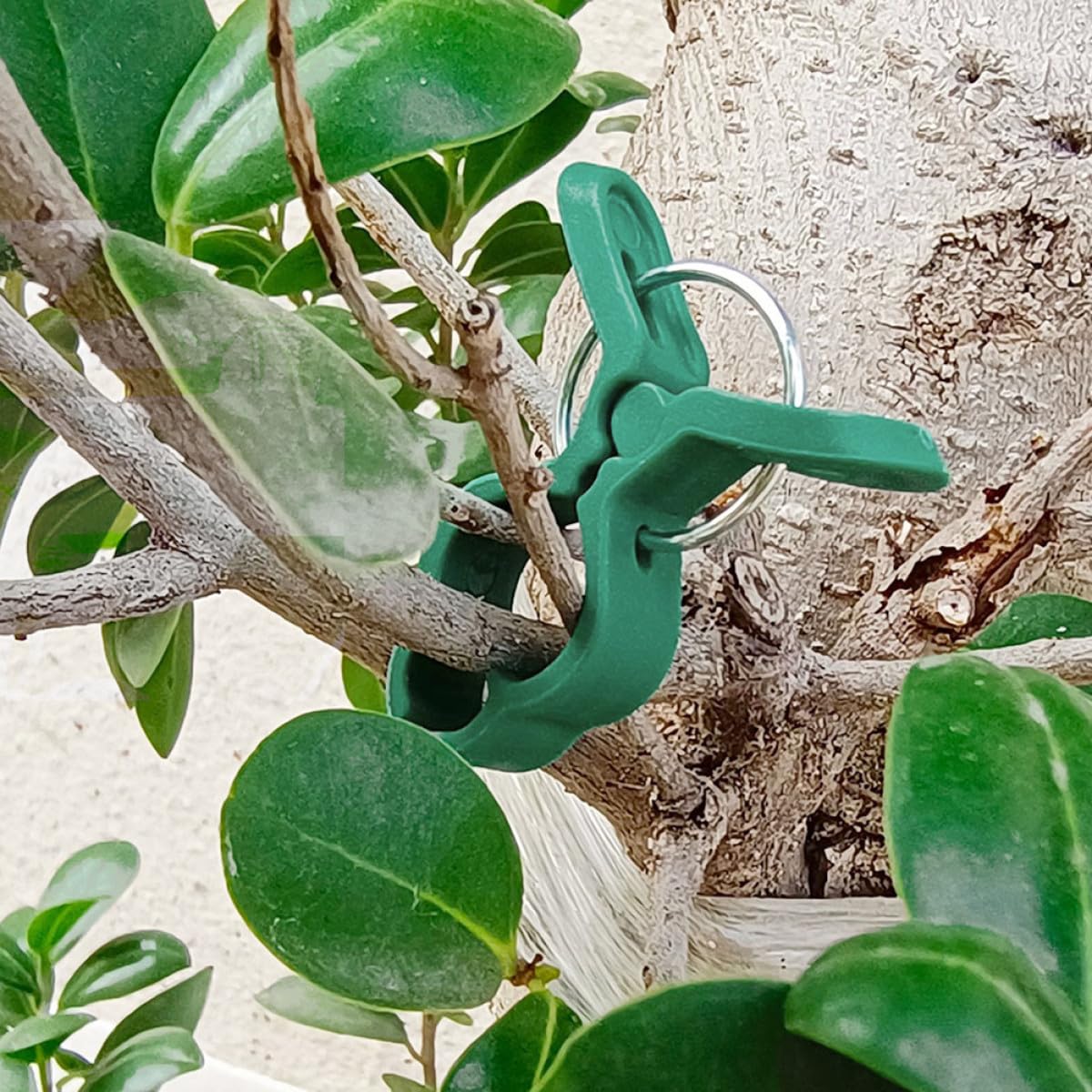 Clip per Piante Pomodoro 60pezzi, Sostegno per Orchidee e Piante Rampicanti, Clip di Fissaggio in Plastica Leggera per Giardino e Terrazza