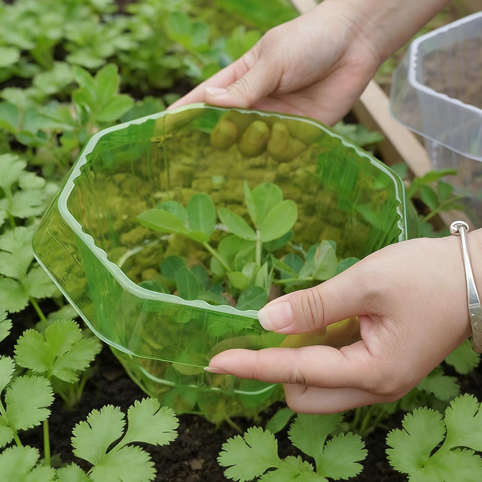 PORFOYO Colliers Anti-Escargots: 30 Pièces Anneaux De Protection Contre Les Escargots, Protection Anti Limace, Protections Antis-Escargot pour Protège Les Plantes Contre Les Animaux (Vert)