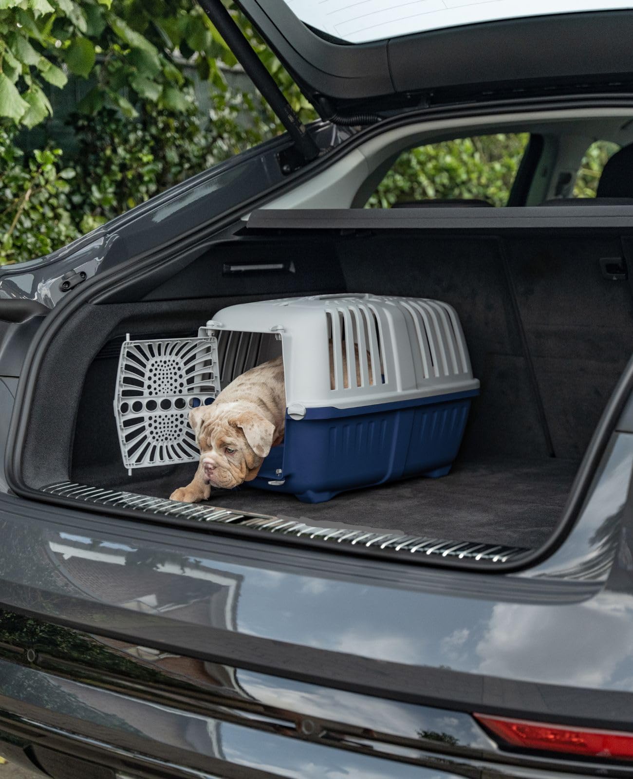 lionto Caja de Transporte de plástico Reciclado para Perros y Gatos, Caja de Transporte para Mascotas, 55x36x36 cm, Azul Oscuro