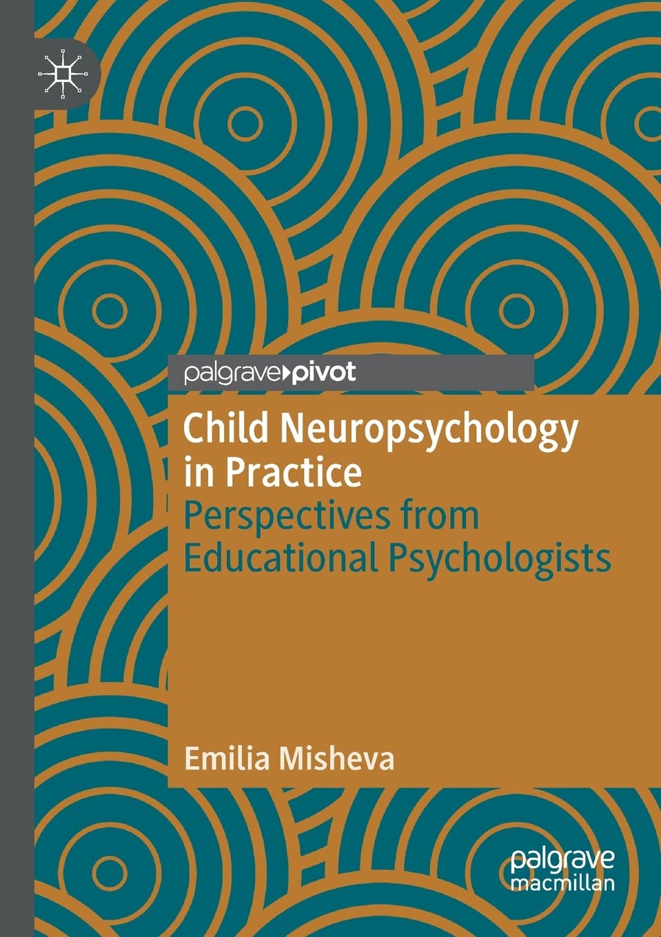 Child Neuropsychology in Practice - 9783030649326