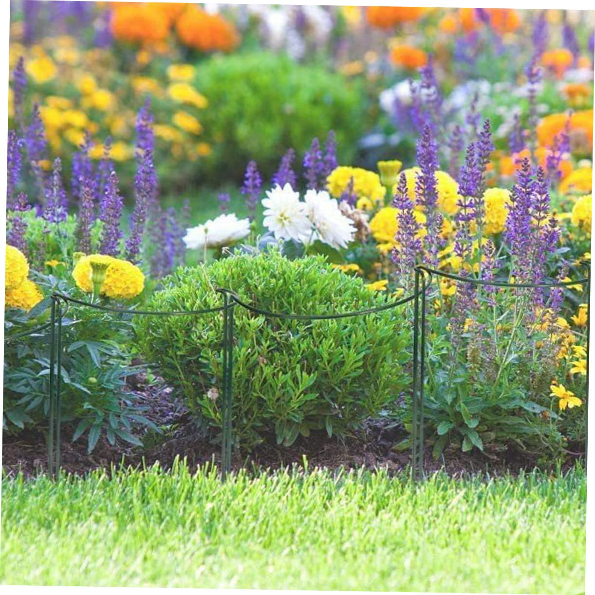 Lot de 6 Tuteurs pour Plantes en Fer Vert, Demi-Rond, Réutilisables, pour Guider Les Tiges et Soutenir Les Plantes Grimpantes au Jardin
