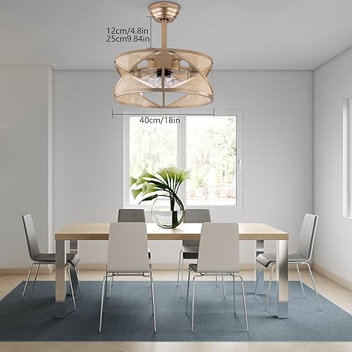 Miniatura 2 de LOYALHEARTDY Ventilador de techo industrial de 20 pulgadas con control remoto de luz LED, 3 velocidades ajustables, ventilador de techo enjaulado