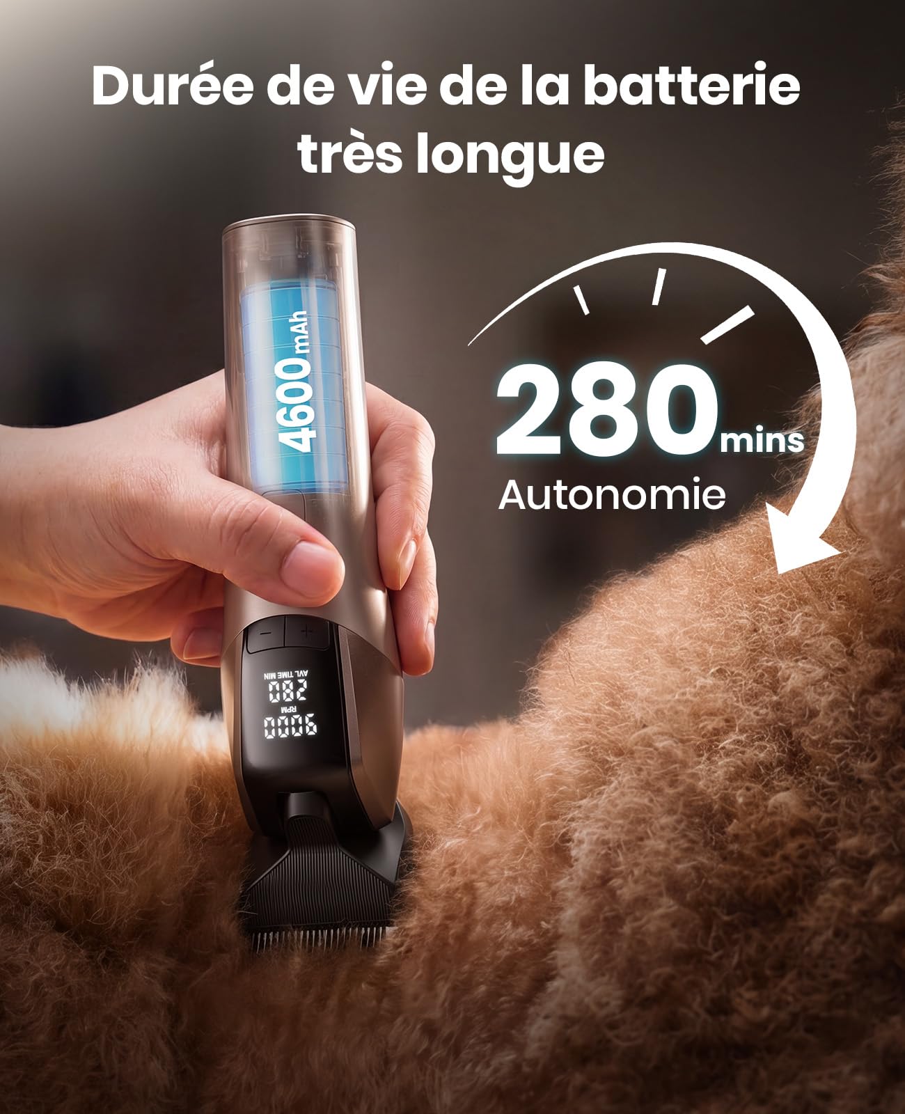oneisall Tondeuse Chien Professionnelle | 9000 RPM 5 vitesses,DLC lame 5-en-1 , autonomie de 280 min,<50 dB silencieux, 8 peignes guides métalliques