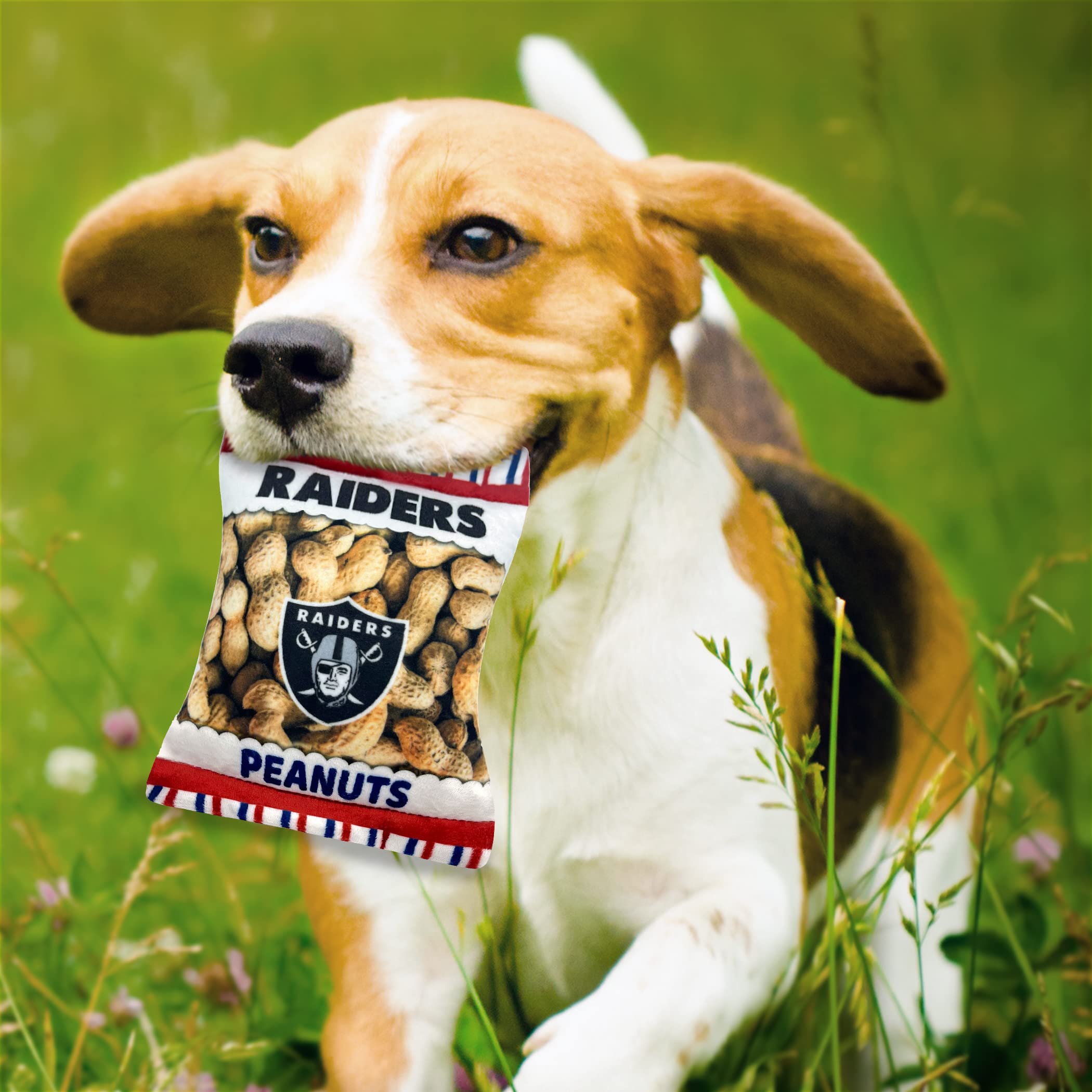 Amazon.co.jp: Pets First NFL LAS Vegas Raiders クリンクルファイン