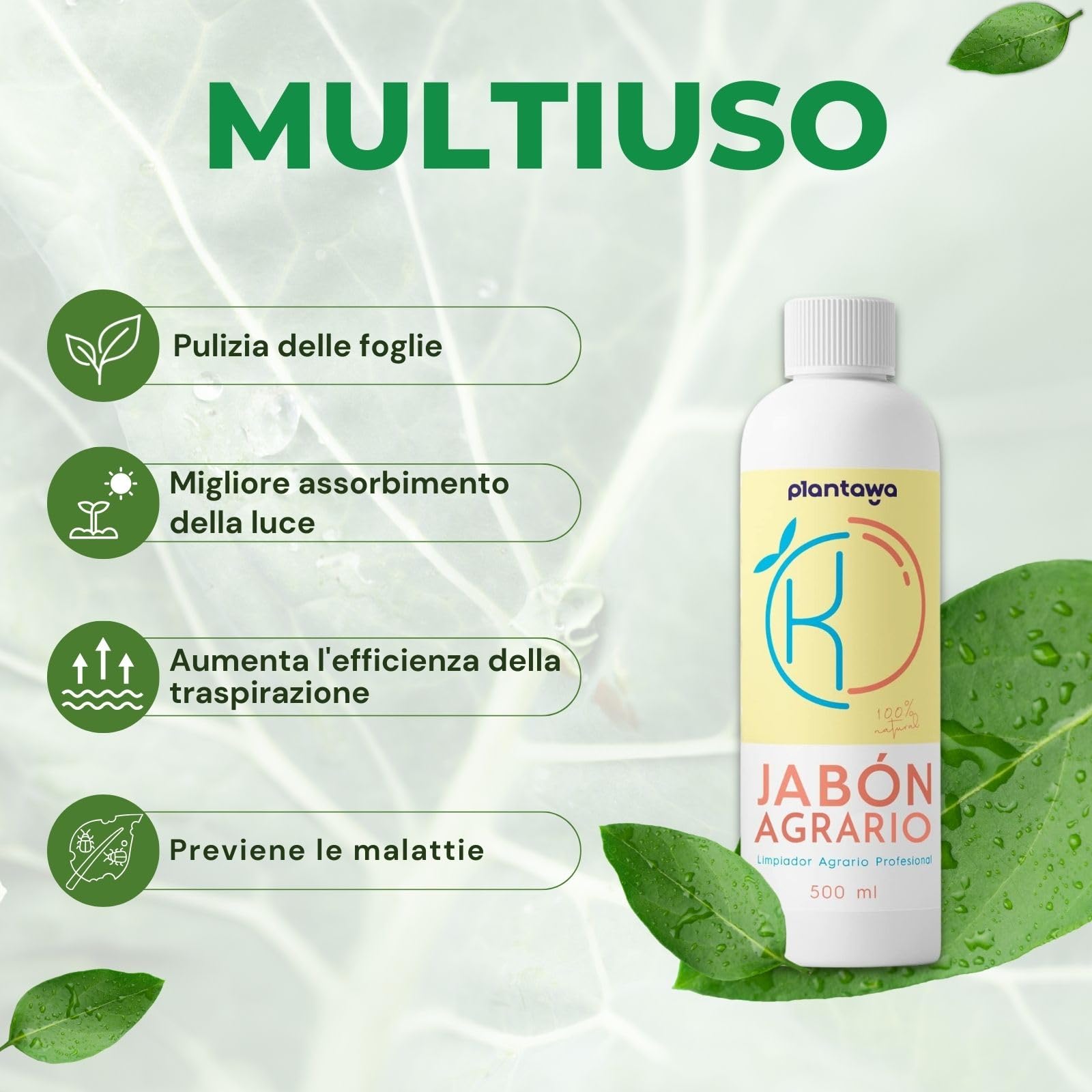 PLANTAWA Sapone Molle di Potassio + Olio di Neem (2x250ml) | Formula Pura ed Altamente Concentrata | Soluzione Naturale per Cura Domestica | Versatile e multiuso per Interno ed Esterno