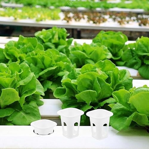 Miniatura 2 de Cabilock 50 macetas de orquídeas con agujeros, 50 cestas de cultivo hidropónicas, plantas para interiores y exteriores, para suministros de jardín,