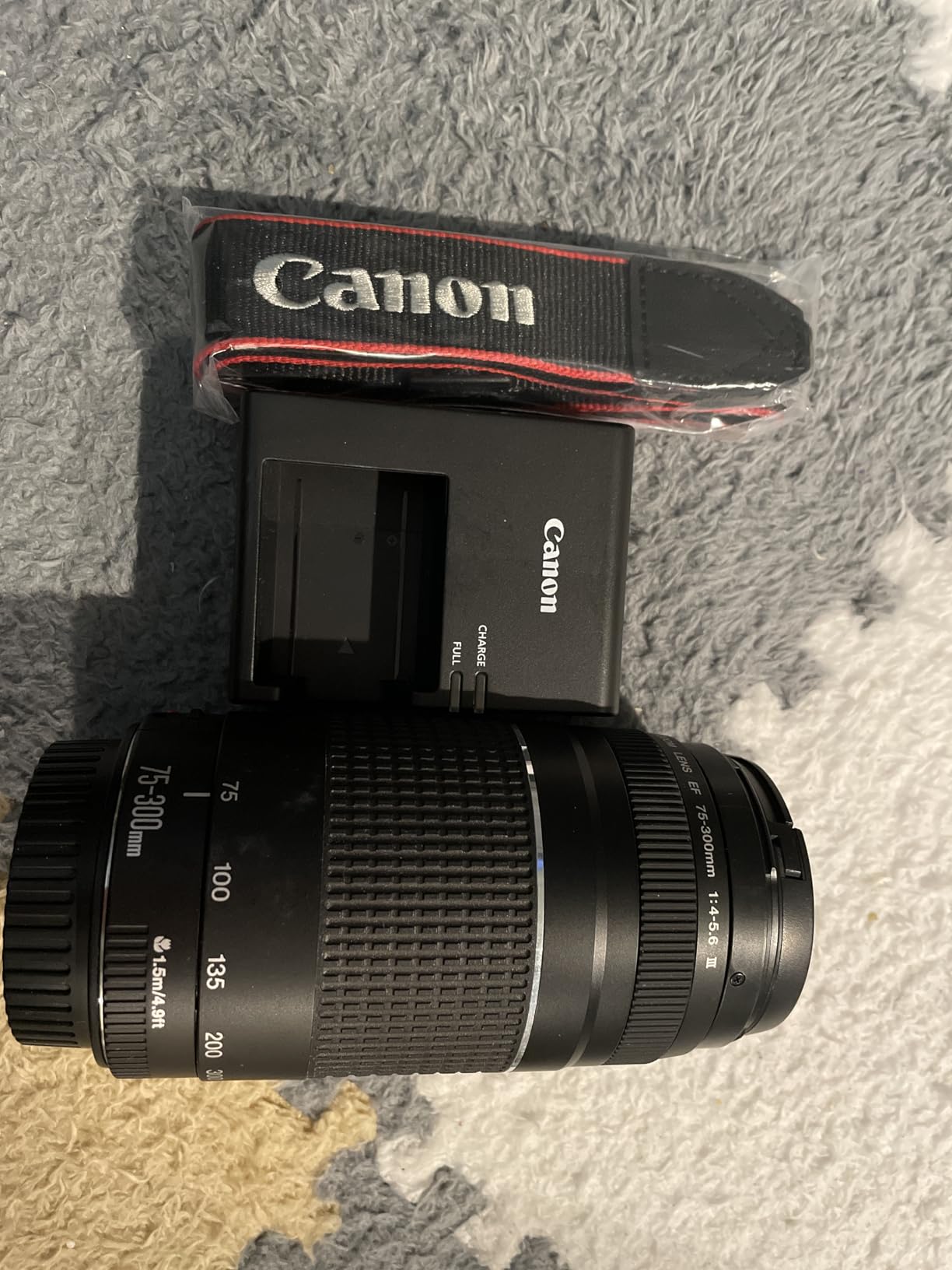 Canon EOS 6D Mark II / Canon EF 75-300㎜ Canon EOS 6D Mark II Review: Digital Photography Review