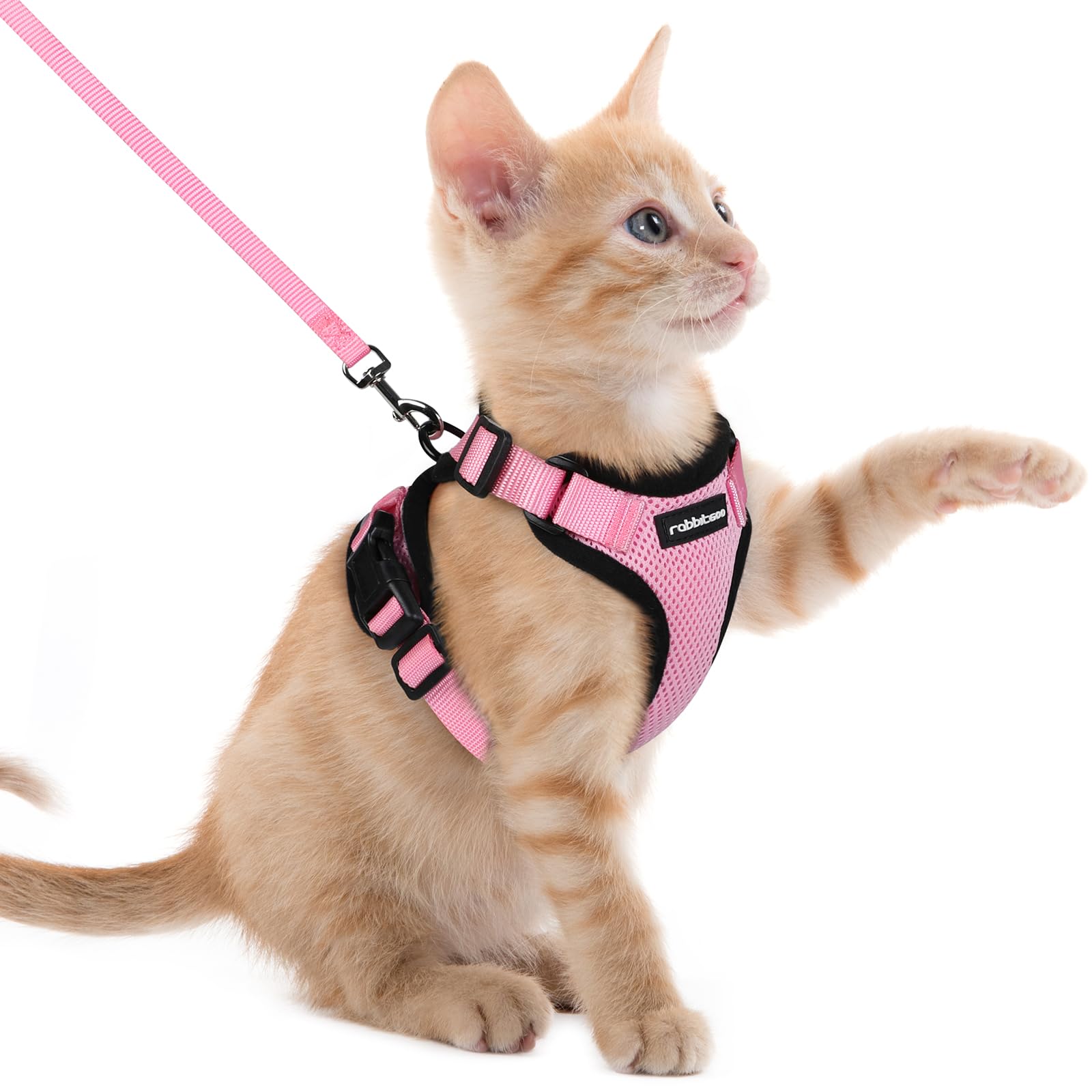 rabbitgoo Pettorina Gatto Antifuga con Guinzaglio, Guinzaglio per Gatti Regolabile, Pettorina Cane Taglia Piccola Riflettente, Imbracatura Gatto Adulto in Maglia Traspirante per Passeggiate, Rosa, XXS