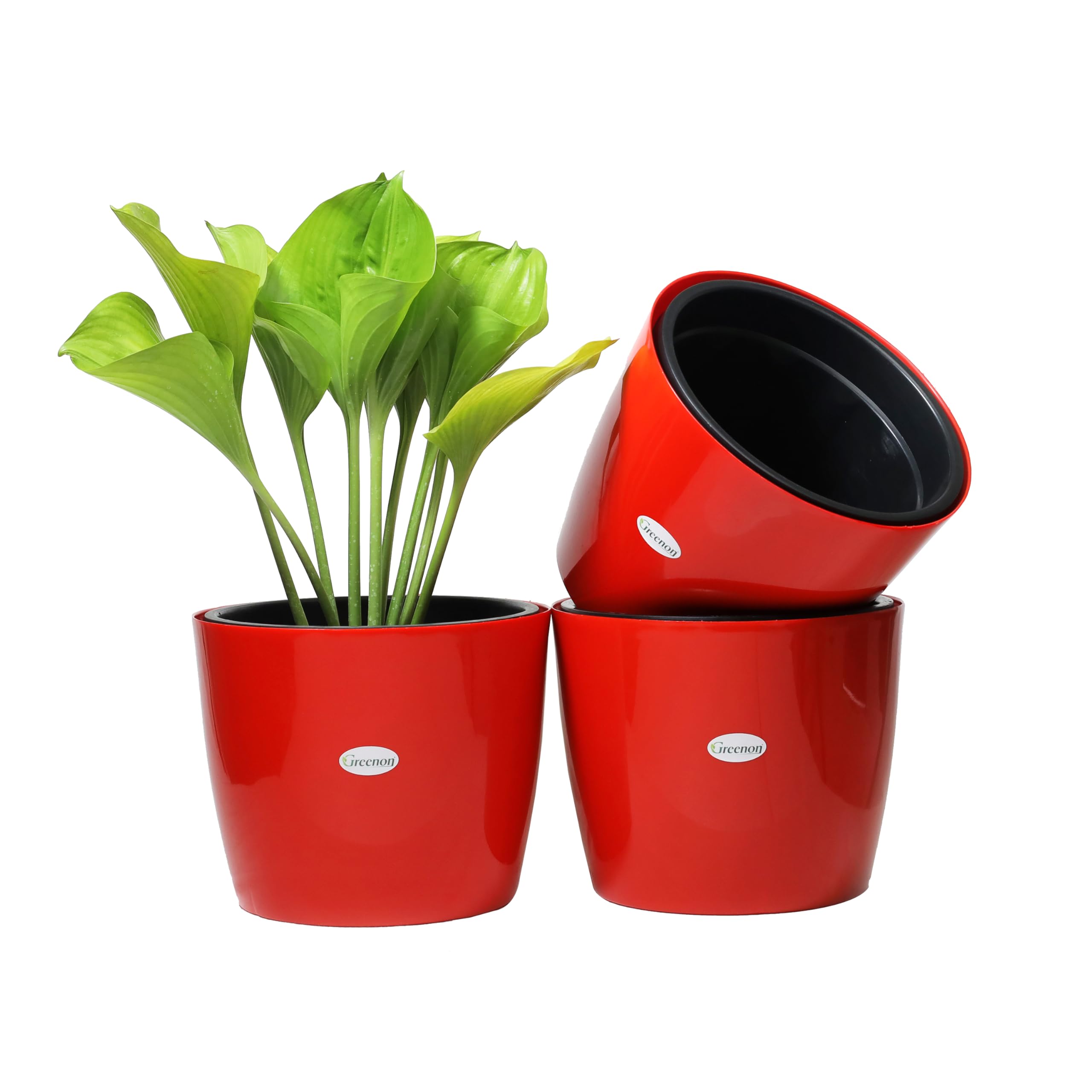 GREENON® Plant Pot 10 Inch Pack of 3 (6 Pots) Self Watering Indoor Pot | Red Outer Black Inner Flower Pot | Suitable for Home Indoor and Balcony Plants | Low Maintenance Gamla (B09B62L6WR) Amazon Price History, Amazon Price Tracker