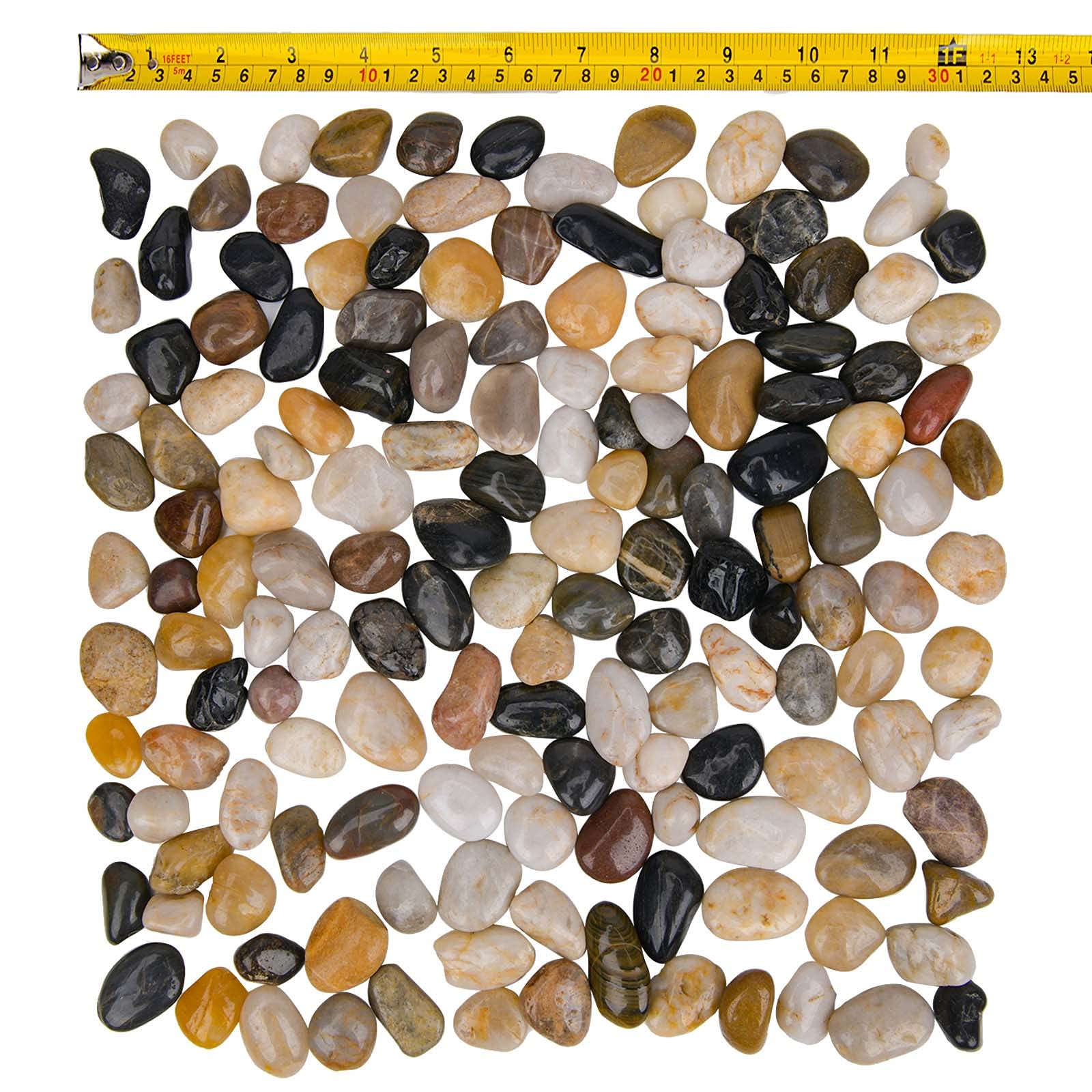 Pietre decorative, ciottoli di fiume, rocce lucide Per piante d'appartamento, terrario, ghiaia, ciottoli decorativi per piante grasse, vaso filler