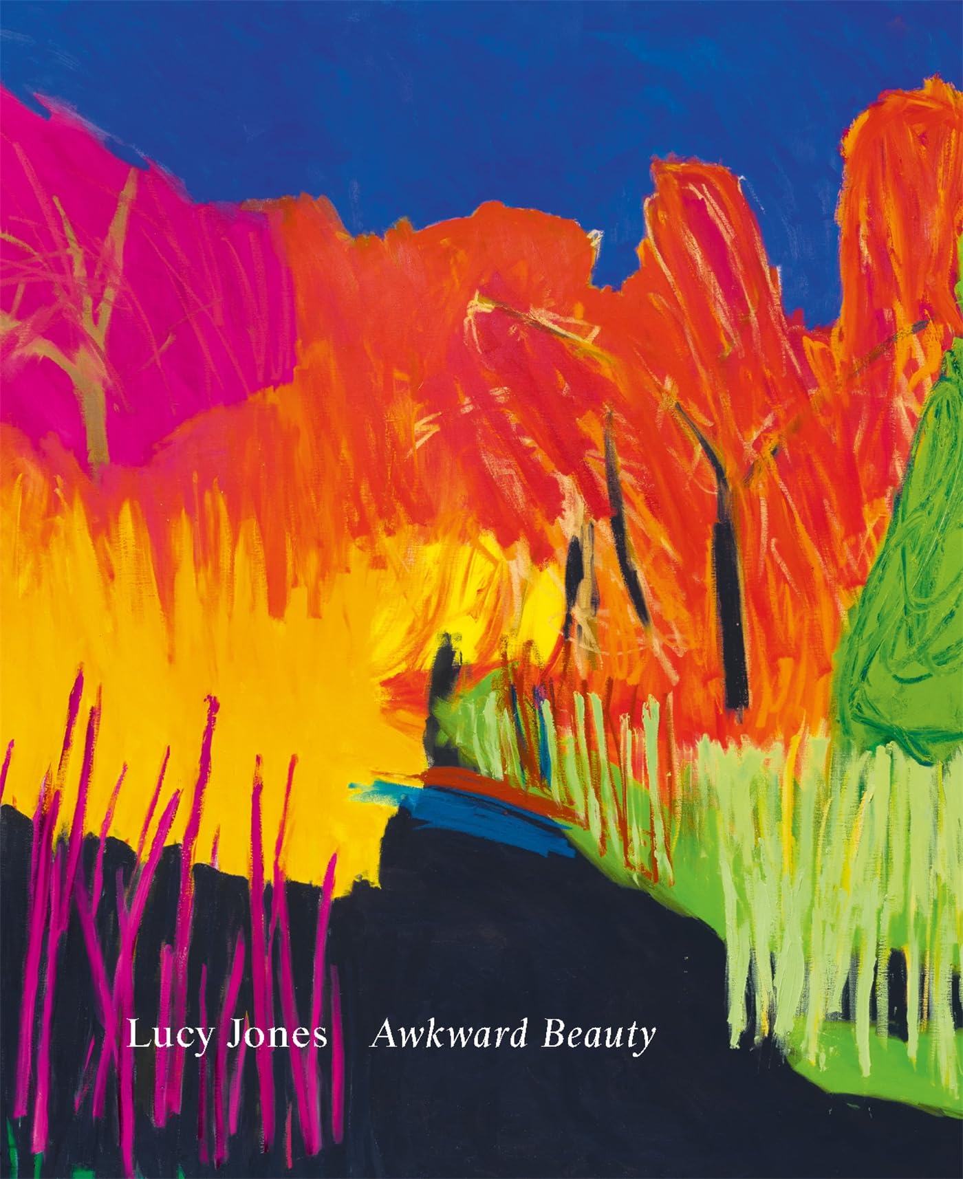 Awkward Beauty: The Art of Lucy Jones by Tom Shakespeare HARDBACK 9781912617036