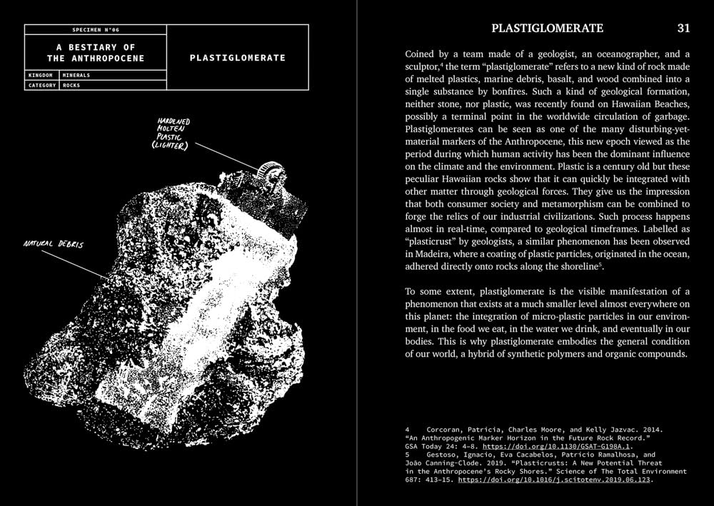 A Bestiary of the Anthropocene: Hybrid plants, animals, minerals, fungi, and other specimens