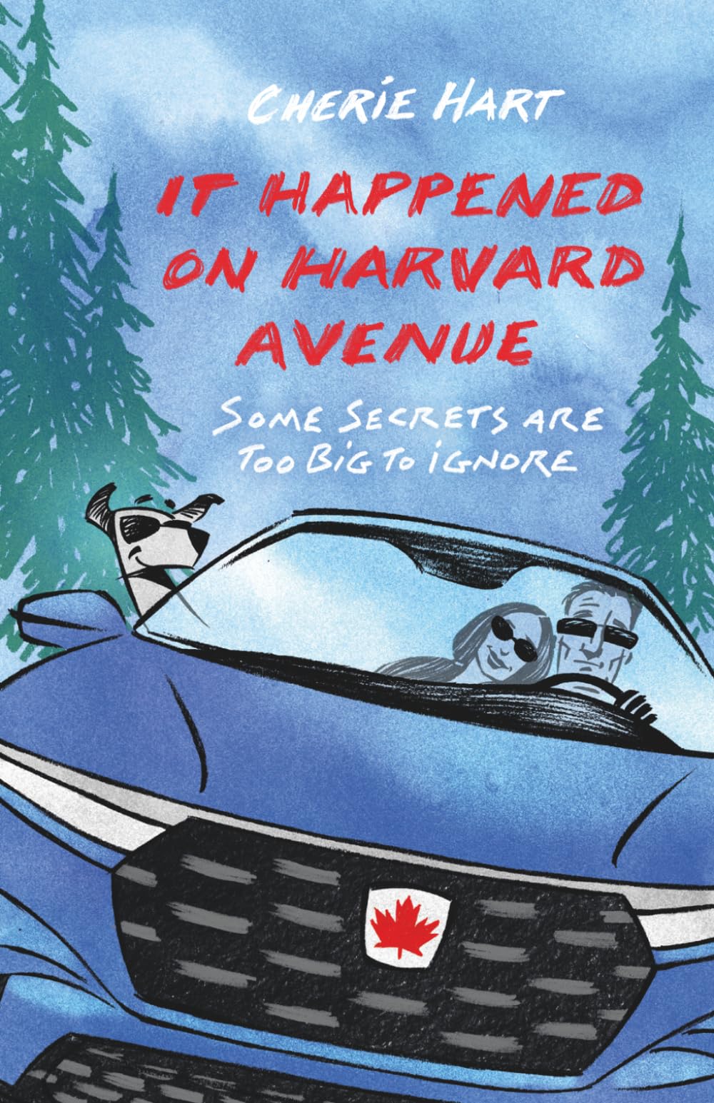 It happened on Harvard Avenue: Some secrets are too big to ignore