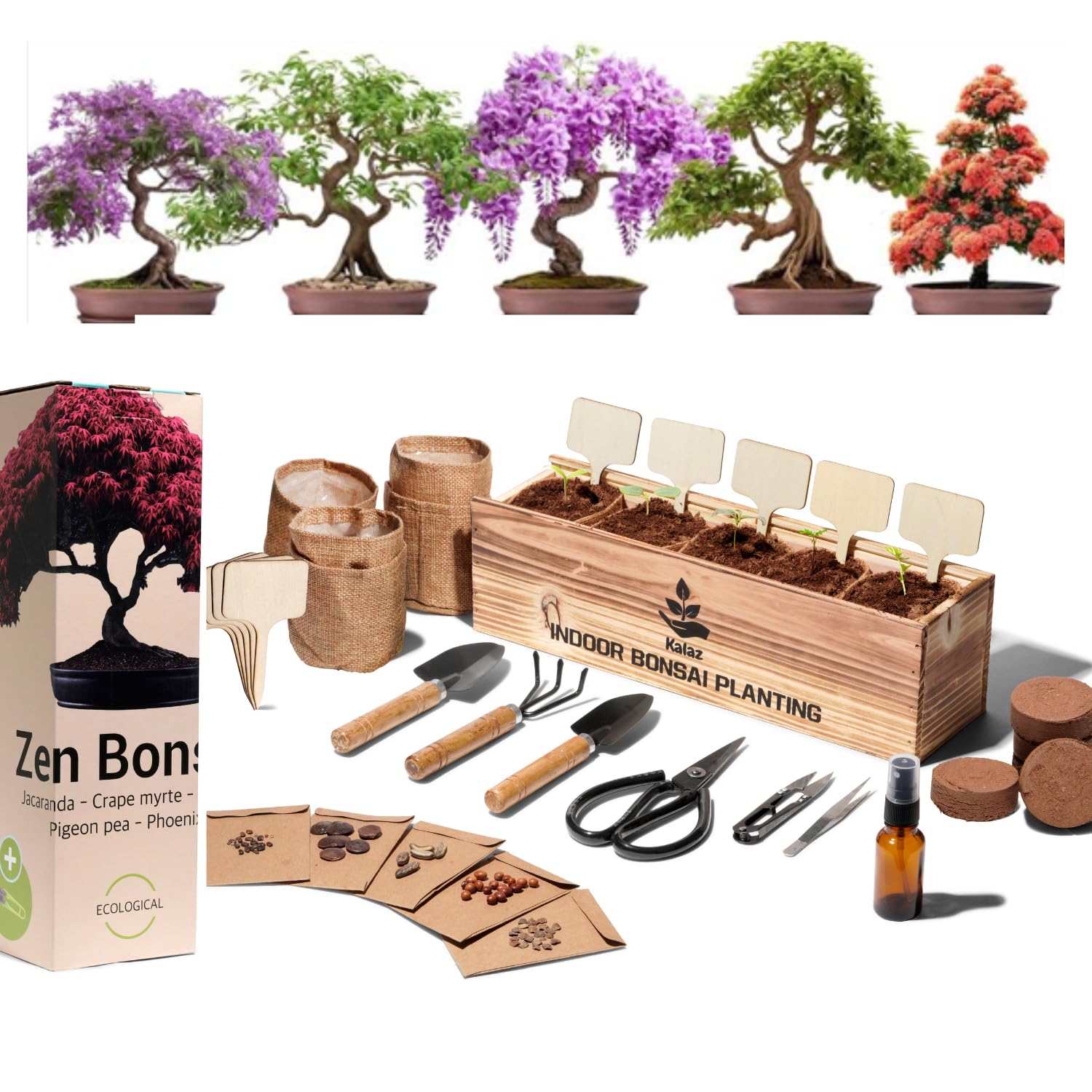 Bonsai kompletny zestaw startowy do dekoracji drewna, 5 naturalnych roślin, japońskie nasiona, narzędzia i nożyczki, prezent dla kobiet i mężczyzn, oryginalne pudełko dla matki, ogrodnictwo dla