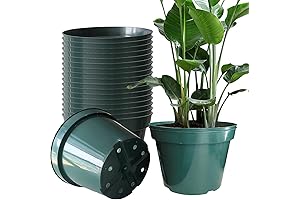 DAPERCI RooTrimmer 8 Inches Plant Pots