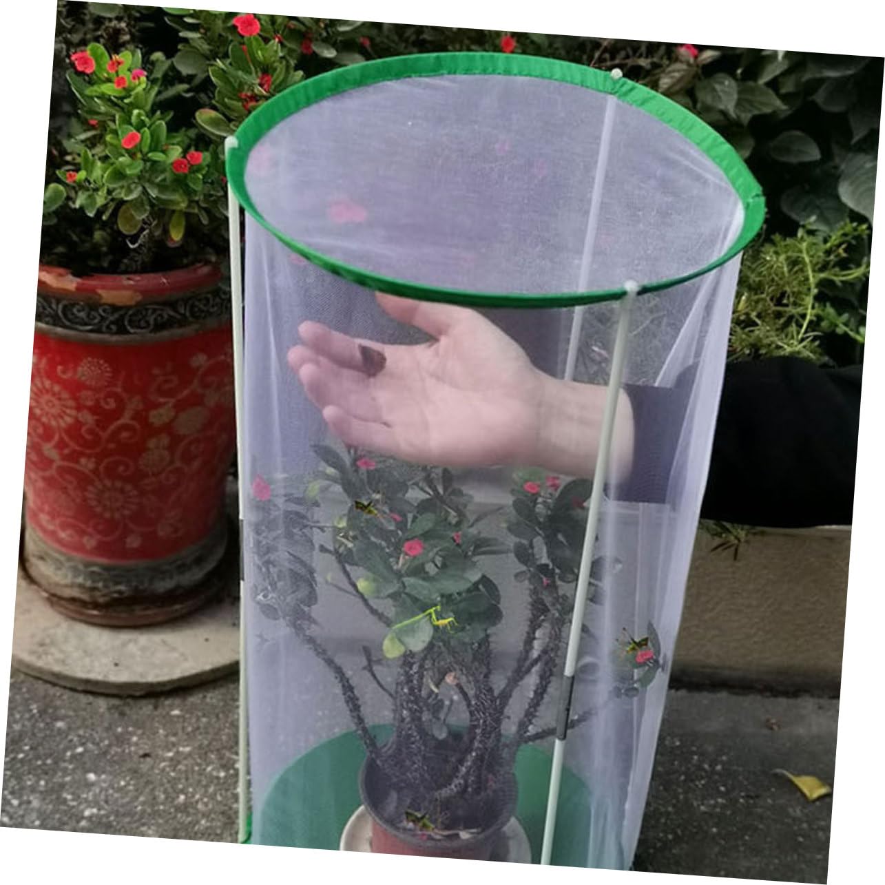 Leichter Insektenkäfig aus Polyester mit Sichtbarem Käfig Design als Schmetterlingszuchtkäfig und Beobachtungskäfig für Schmetterlinge und Insekten