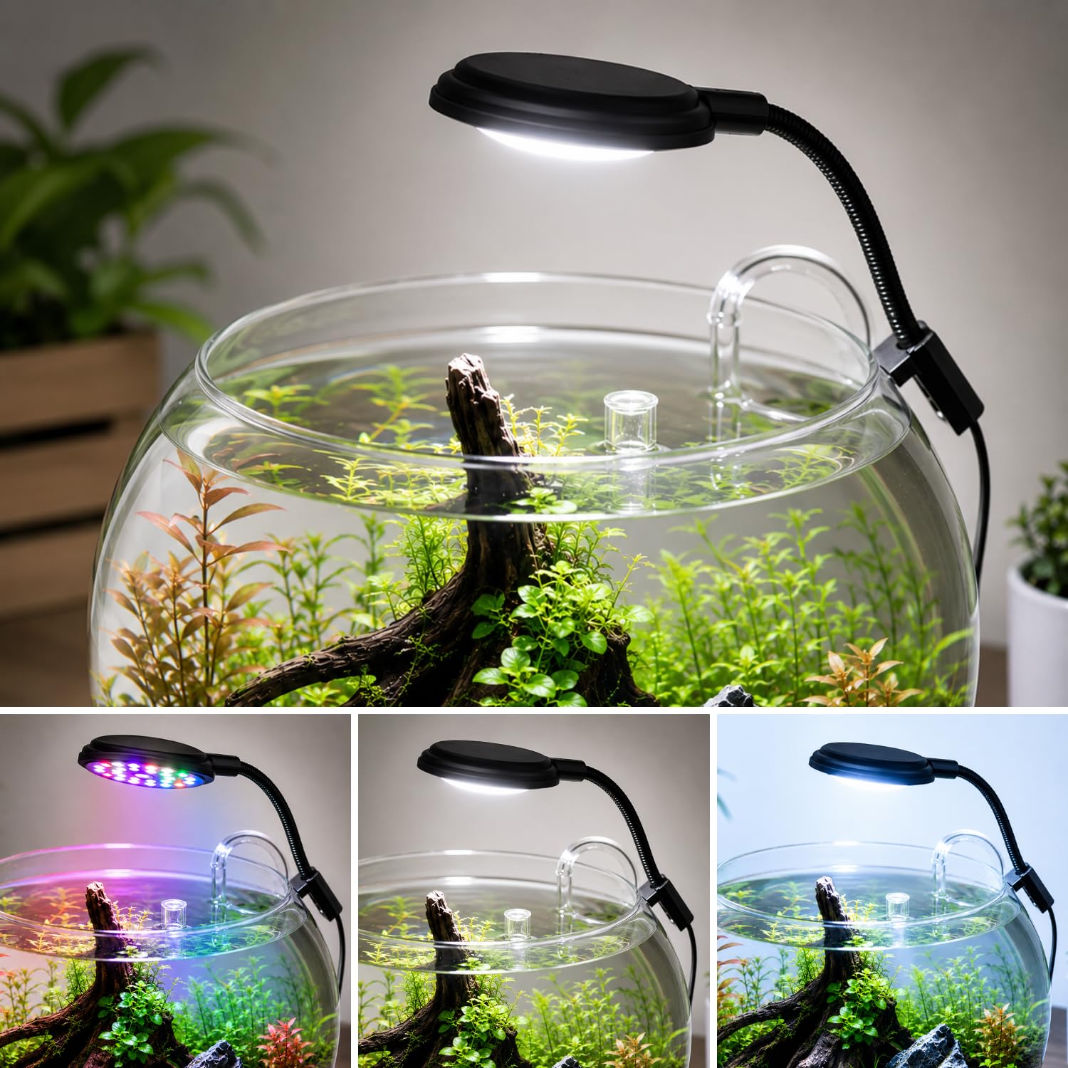 VAYINATO Aquarium Nano Mini Small Fish Tank Full Spectrum Adjustable Bowl Clip On Light - Black By Petzlifeworld-picture-37