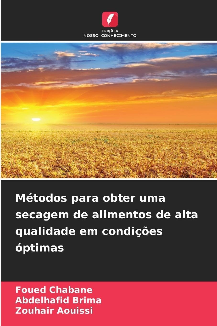Métodos para obter uma secagem de alimentos de alta qualidade em condições óptimas