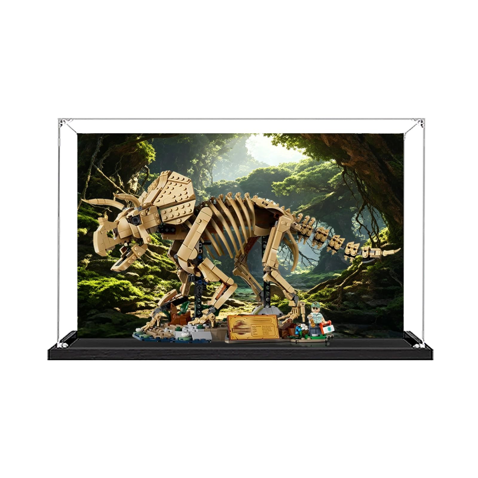 Acrylic Display Case for Lego 77985 Dinosaur Fossil: Triceratops Building Set, Dustproof Transparent Box - Only Display Case, Display Box Compatible with Lego 77985 (Back Spray (Base A))