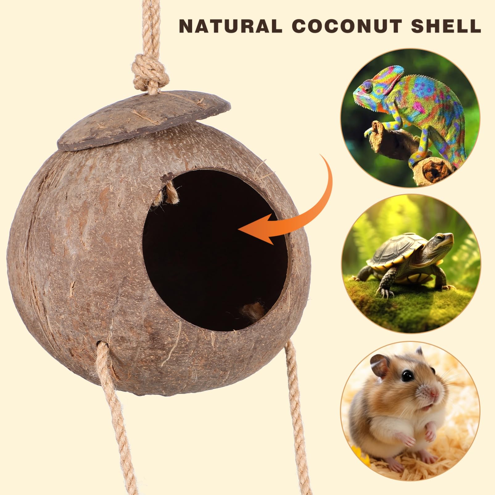 BESTonZON Decorative Reptile Hide Cave with Ladder Natural Coconut Shell Shelter for Reptiles for Bearded Dragons Snakes and More Realistic Design for Reptile Enclosure