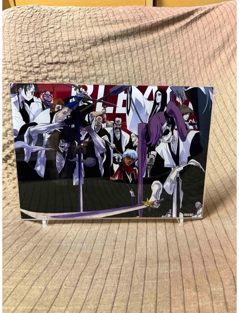 ブリーチ 初代護廷十三隊 箔入りアクリルアート ブ リ ー チ BLEACH