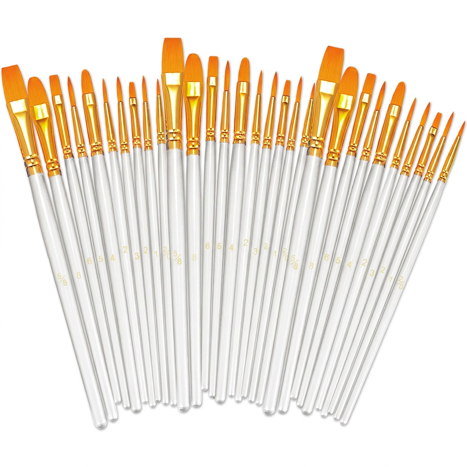 BOSOBO Assorted Nylon Acrylic Artist Paint Brushes Set,White,30 Pcs