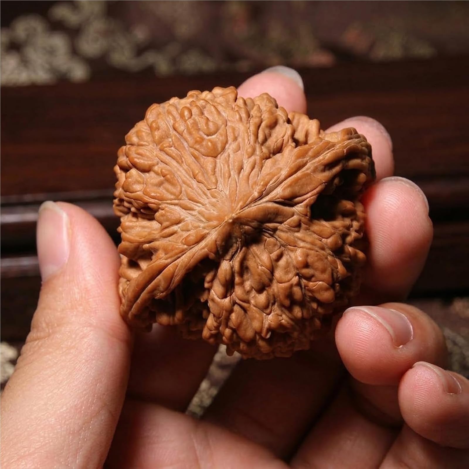 Juego de nueces de jade Wenwan naturales chinas, par auténtico 41-42 mm