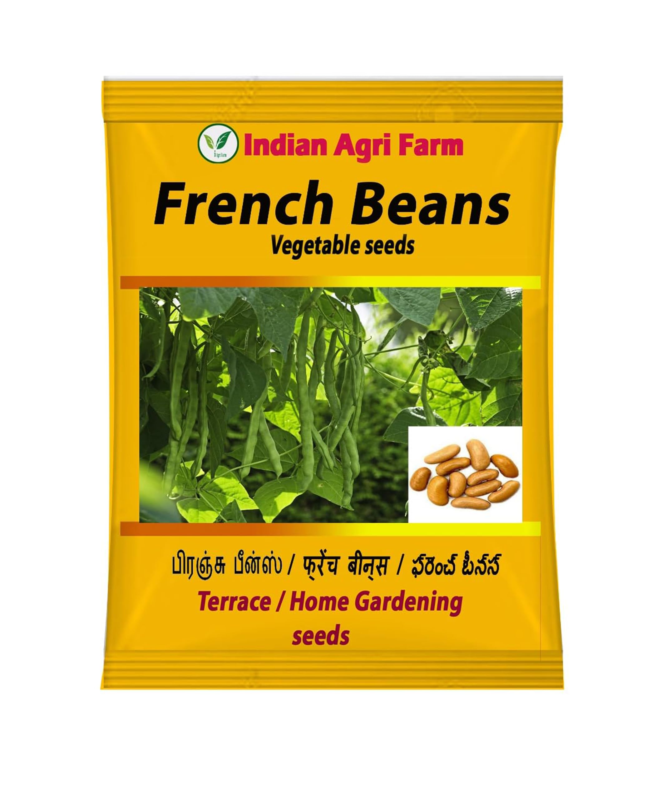 See full amazon price history chart for Iagrifarm French Beans / Frash Phalli Seeds / Desi Vegetable seeds ( Pack of 67seeds ) for Terrace,Home Gardening Iagrifarm French Beans / Frash Phalli Seeds / Desi Vegetable seeds ( Pack of 67seeds ) for Terrace,Home Gardening (B0BNHSR17Q) Amazon Price History, Amazon Price Tracker