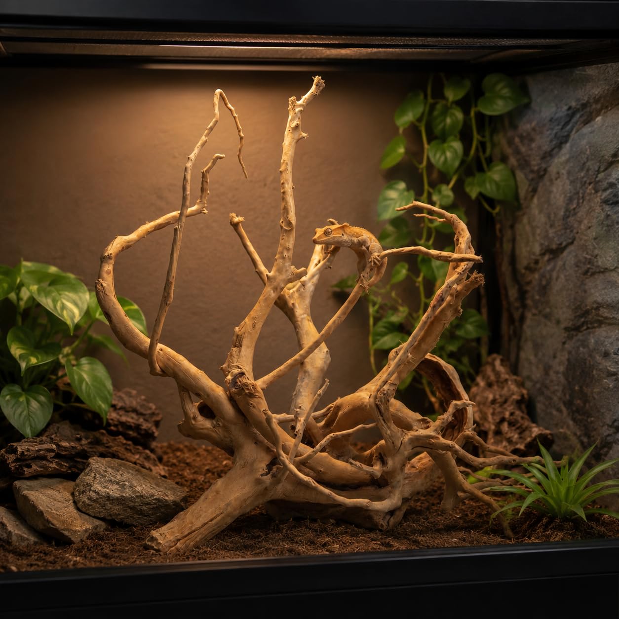 emours Bois flotté pour aquarium, grand bois naturel pour décoration d'aquarium, 30 à 45 cm, bois flotté pour centre de table, utilisation d'eau douce et terrarium