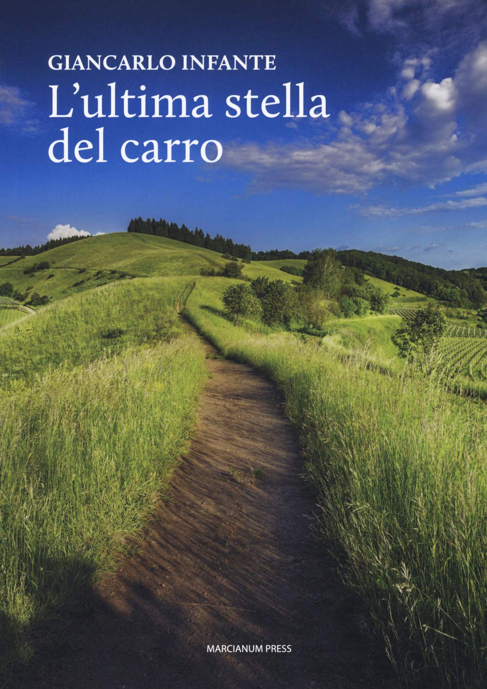 L Ultima Stella Del Carro - 4